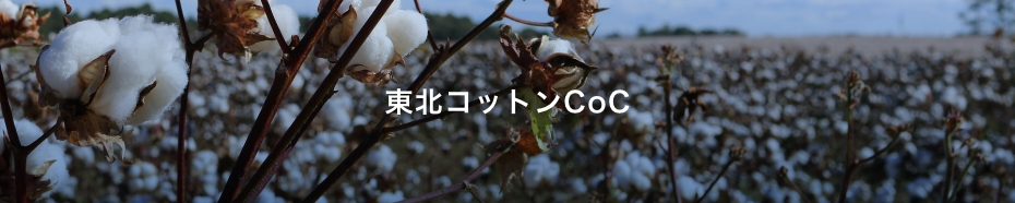 cotton